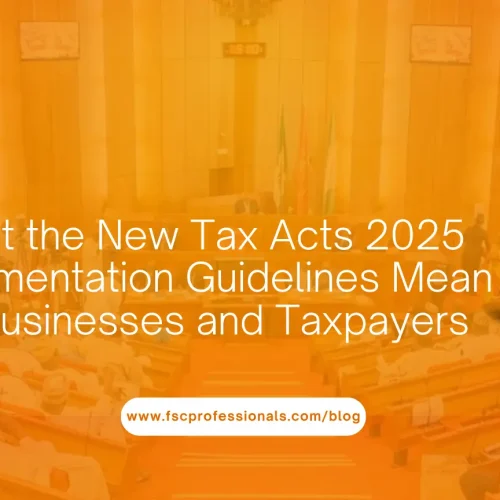What the New Tax Acts 2025 Implementation Guidelines Mean for Businesses and Taxpayers