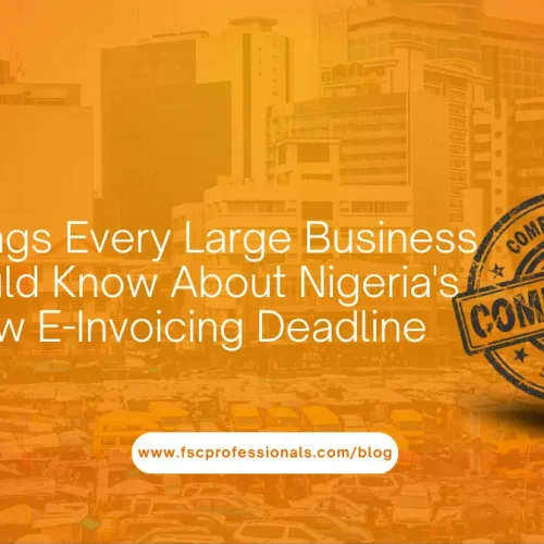 8 Things Every Large Business Should Know About Nigeria's New E-Invoicing Deadline (1)
