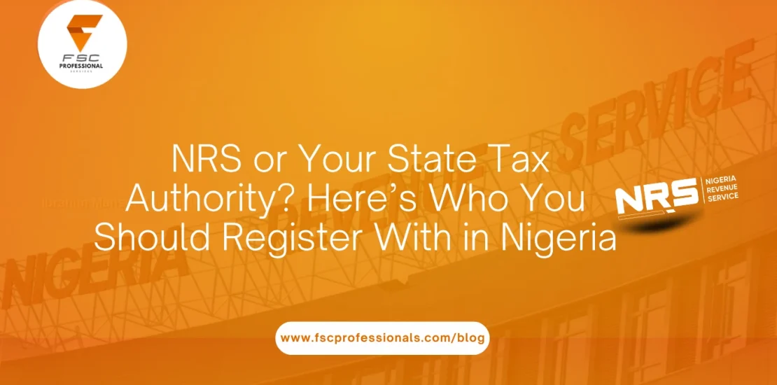 NRS or Your State Tax Authority Here’s Who You Should Register With in Nigeria