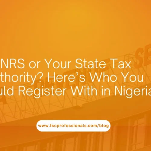 NRS or Your State Tax Authority Here’s Who You Should Register With in Nigeria